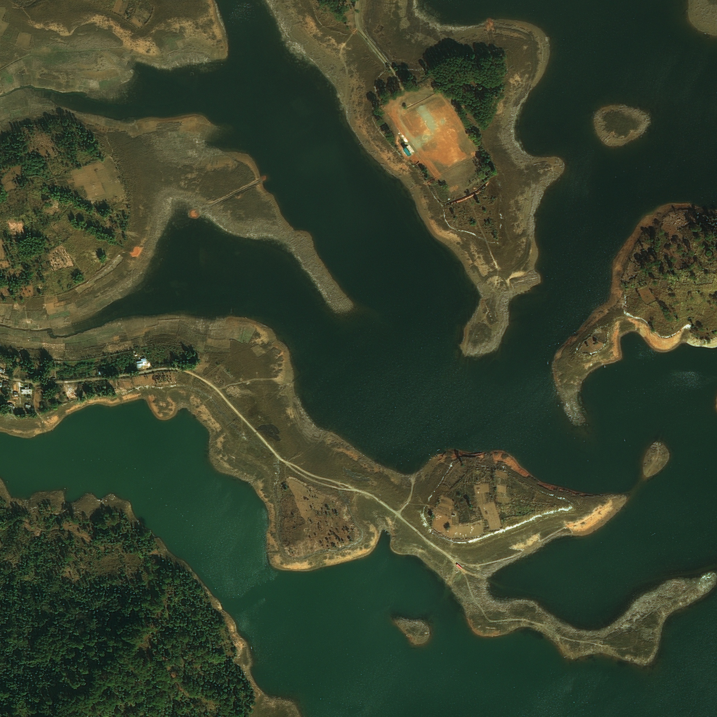 Satellite image